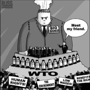 Imagen: Polaris Institute