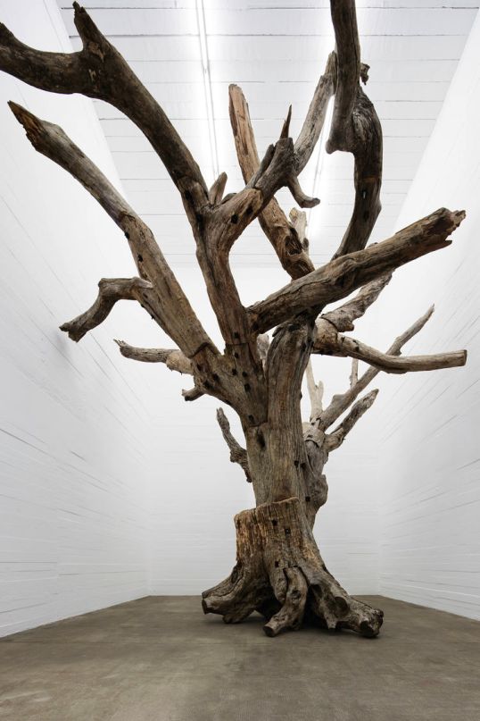 Bomb Shelter Displays Ai Weiweis Tree, Kate Mosss Broccoli