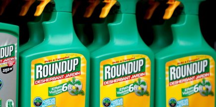 File photo of Monsanto's Roundup weedkiller atomizers seen on sale at a garden shop at Bonneuil-Sur-Marne near Paris