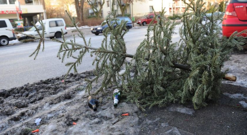 profile_ezone-teaser940x516